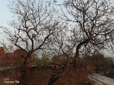 Rup Nagar