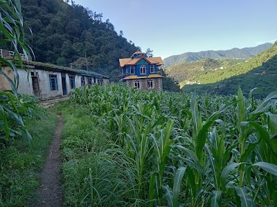 Kardoh