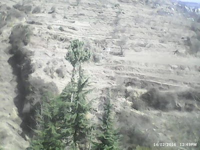 Karyali
