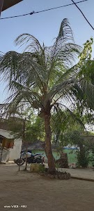 Muskan Flower Decoration
