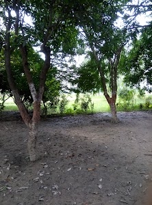 श्री सनातन धर्म सर्व समाज मंदिर गंगापुर ,कुछ - मुछ
