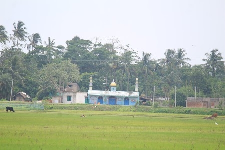 Mojahid Nagar Masjid
