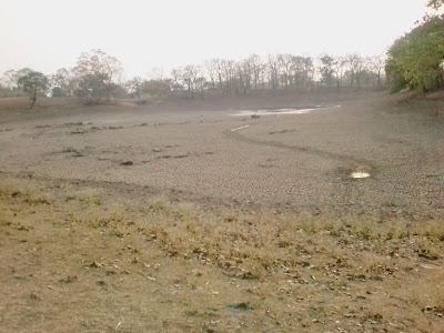 Padahardi
