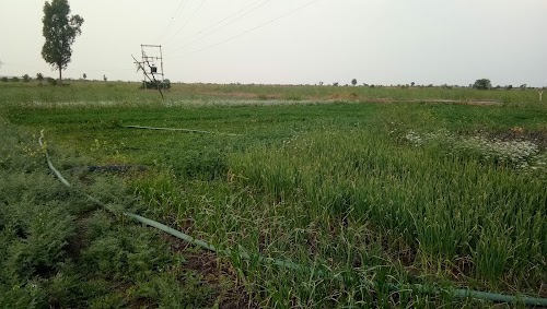 Karahi