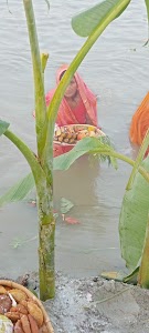 Basudeo Pur