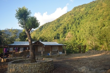Hornbill view Cottages