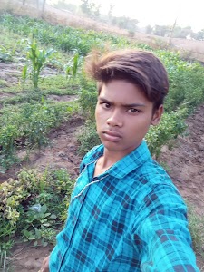 Borkundiya