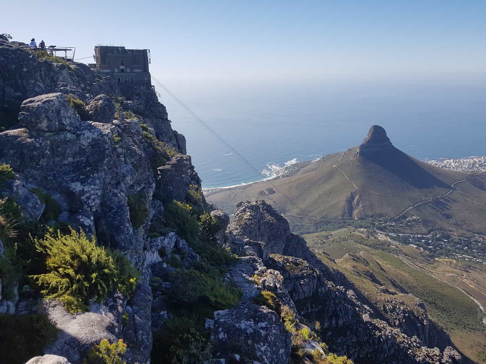 Table Mountain (Nature Reserve)