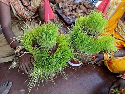 Saikheda