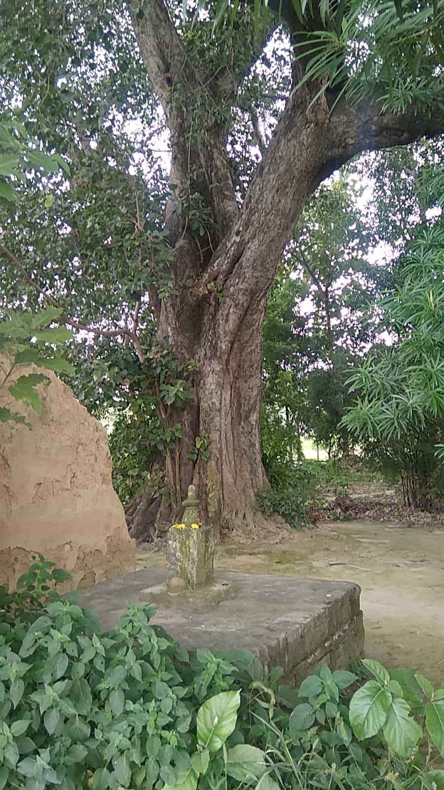 Pipratar shiv mandir