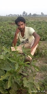 Sudin