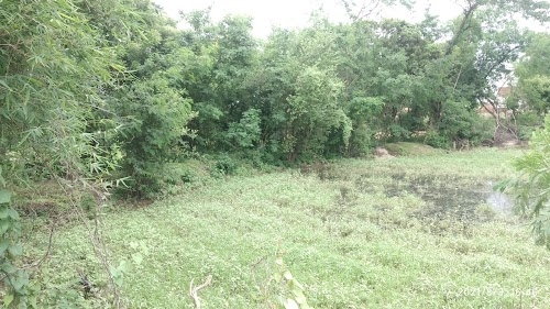 Sandhya Vihar Colony