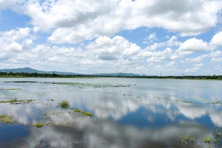 Dumri