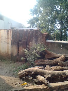 Chikhlakasa