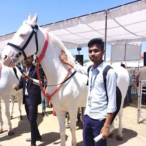 Pilibhit