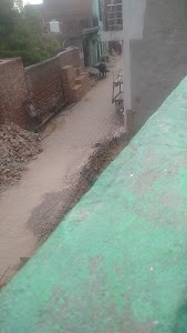 Pappan chat bhandar