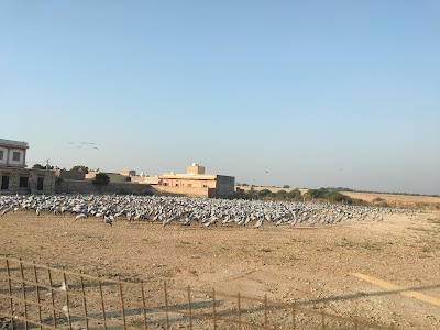 Pakshi Chugga Ghar