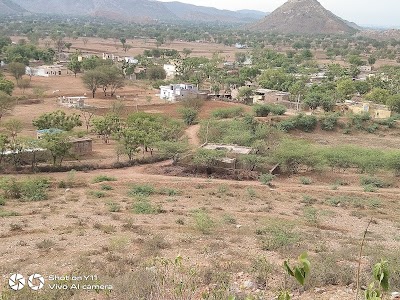 Pando