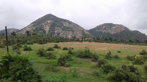 Jhalida