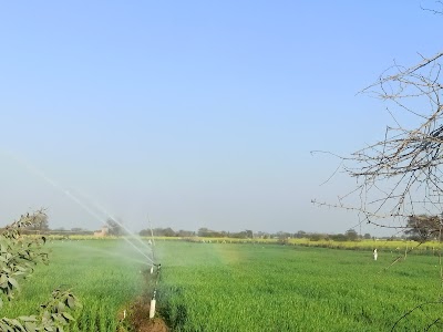 Dharam ganga organic produce unit 2
