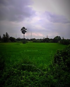 Murtazanagar