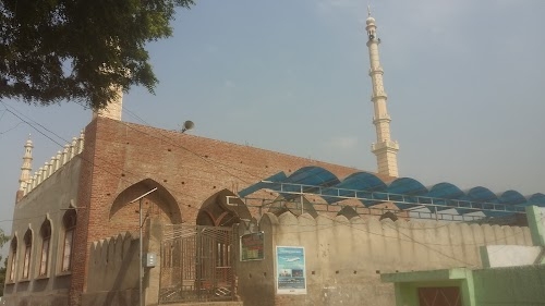 Chholas