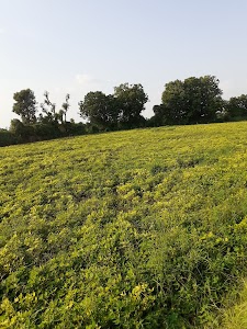 Hadta