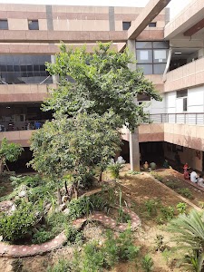 Civil Hospital Sector 10 Gurugram