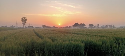 Nathuvadla