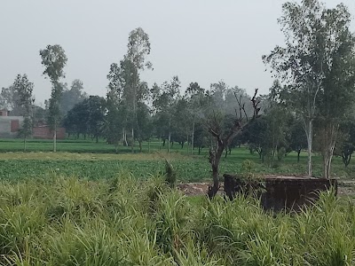 Dhanpura