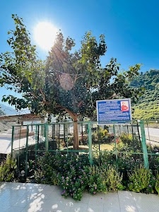 Jnanavriksha - Kakrighat