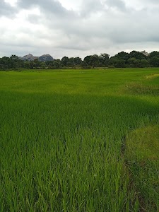Pahar Bangru