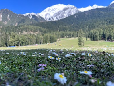 Kashmir