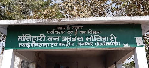 Pipra Kothi