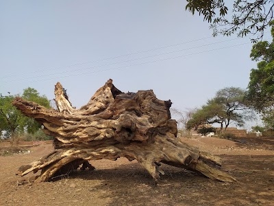 Biladi