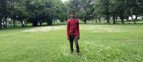 Narendra Kumar Garden