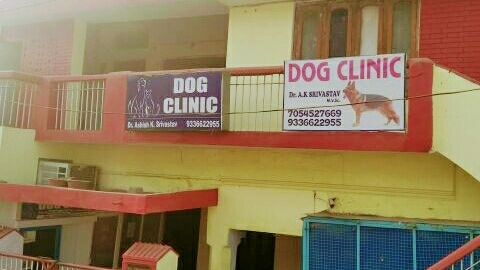 Dog Clinic