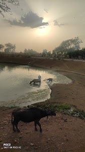 Kaka Khedi