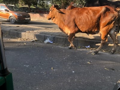 Pragati Vihar
