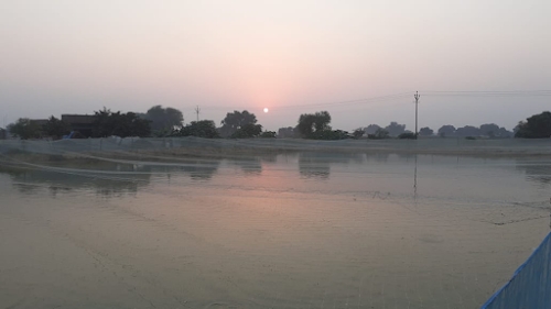 Fish Farm BHUVEDA