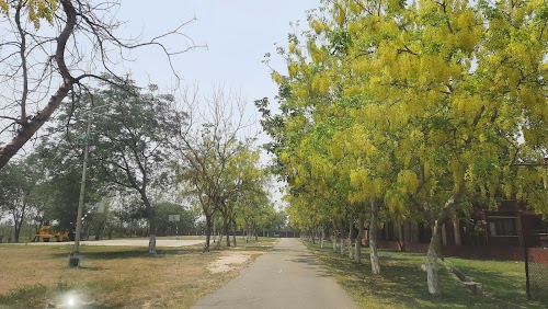 Army Public school Beas