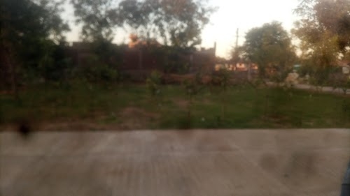 New green area