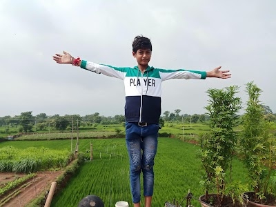 Pandariya