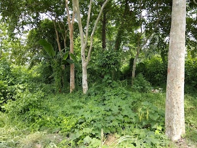 Forest Department