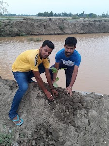 Sonhar