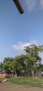 Bhidwasan