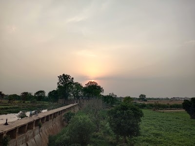 View Point