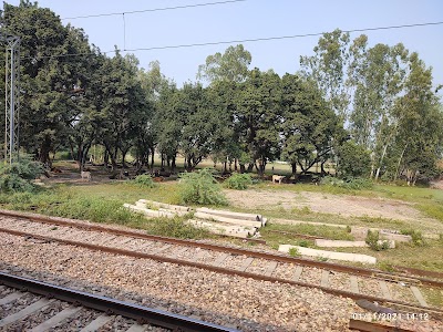 Umartali Railway station by Amjad