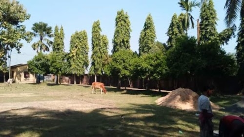 Mandara