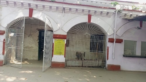 SDO Office